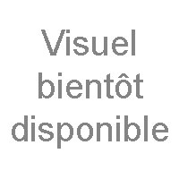 Tapis d'entrée