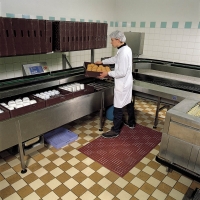 Tapis agroalimentaire