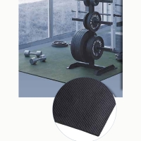 Tapis salle de sport